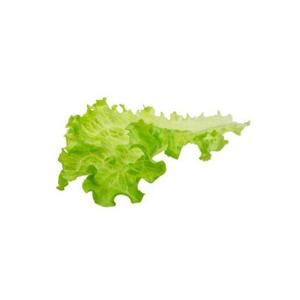 product/b/i/bioponis_bio30146g_vert_2.jpg