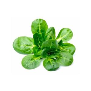 product/b/i/bioponis_bio30155g_vert_2.jpg