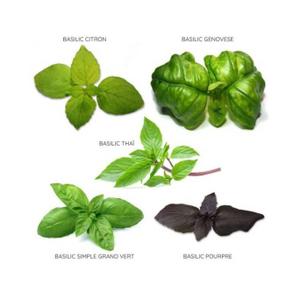 product/b/i/bioponis_bio30163g_vert_2.jpg