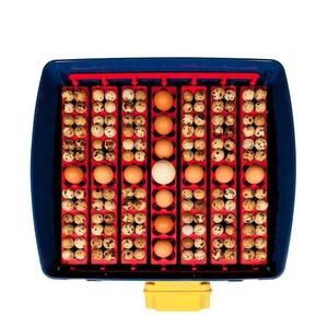 product/b/o/borotto_530300049_bleu-blanc_3.jpg