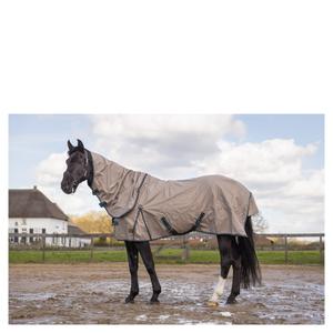 product/b/r/br-equitation_373158n080145_2.jpg