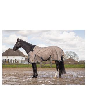 product/b/r/br-equitation_373158n080145_3.jpg