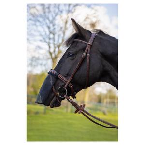 374056-b001-8-protege-naseaux-pour-cheval-br-equitation-noir