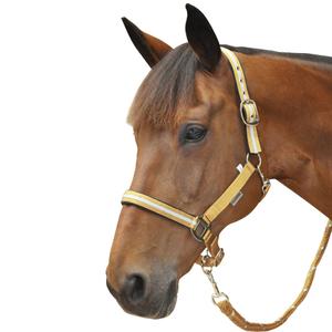 109503-miel-argent-ensemble-licol-plus-longe-lurex-canter-miel-argent