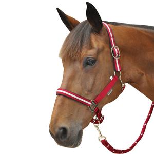 109503-rouge-argent-ensemble-licol-plus-longe-lurex-canter-rouge-argent
