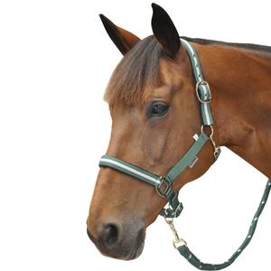 109503-vert-de-gris-argent-ensemble-licol-plus-longe-lurex-canter-vert-de-gris-argent