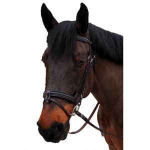 111112-marron-bridon-equitation-muserolle-combinee-canter-nino-marron