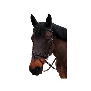 111112-noir-bridon-equitation-muserolle-combinee-canter-nino-noir