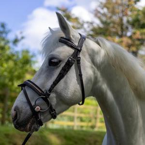 111117-marron-light-gold-bridons-equitation-pour-cheval-canter-mylord-marron-light-gold