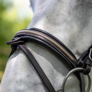 product/c/a/canter_111117-marron_light-gold_marron-light-gold_3.jpg