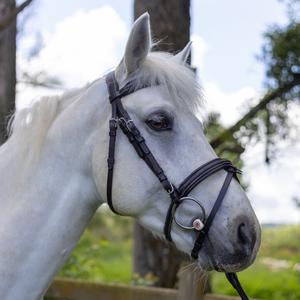 111117-marron-vert-bridons-equitation-pour-cheval-canter-mylord-marron-vert