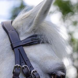 product/c/a/canter_111117-marron_vert_marron-vert_2.jpg