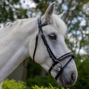 111117-noir-light-gold-bridons-equitation-pour-cheval-canter-mylord-noir-light-gold