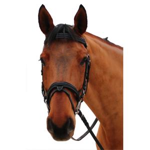 111117-noir-noir-bridons-equitation-pour-cheval-canter-mylord-noir-noir