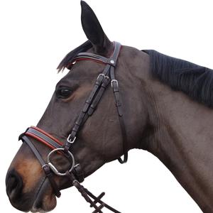 111130-marron-bridons-equitation-canter-alme-marron