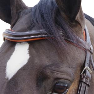 product/c/a/canter_111130-marron_4.jpg