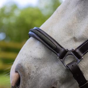 product/c/a/canter_119517-marron_vert_marron-vert_2.jpg