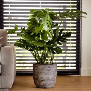 product/c/a/capi_424242_anthracite_10.jpg