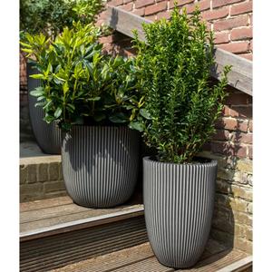product/c/a/capi_445493_anthracite_4.jpg