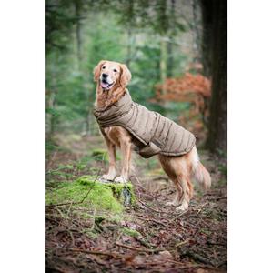 product/c/a/catago_30013251809_kangaroo_2.jpg