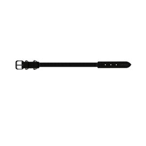 product/c/a/catago_300322501_black_2.jpg