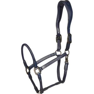 product/c/a/catago_41412014_navy_1.jpg