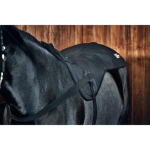 product/c/a/catago_57020001_3.jpg