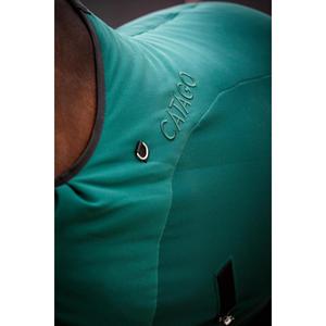 product/c/a/catago_80049250117_ponderosa-pine_6.jpg