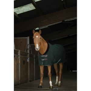 4007298-chemise-pour-cheval-equitheme-teddy-0g-vert-brun