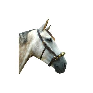 119400-noir-cavecon-pour-cheval-chetak-noir-full