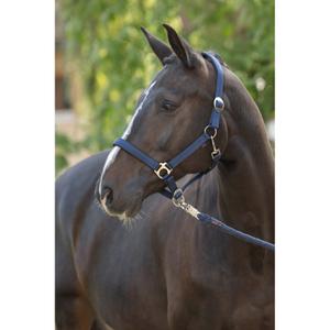 3228202-licol-pour-cheval-covalliero-doria-navy