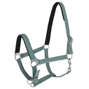 3228206-licol-pour-cheval-covalliero-doria-jade-green