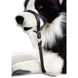 product/d/-/d-d-home_313-419175_2.jpg