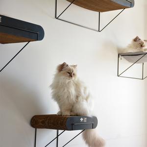 product/d/-/d-d-home_433-482476_4.jpg