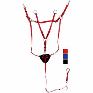 1170199-06-collier-de-chasse-pour-cheval-et-martingale-daslo-pvc-rouge-full