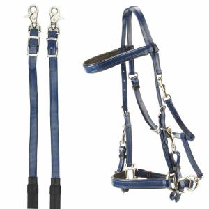 1401425-14-bridons-pour-cheval-pour-endurance-en-pvc-daslo-bleu-national