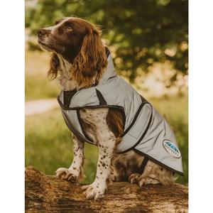 983226-tige-de-cravaches-dublin-edward-goddard-black-55-cm