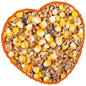 12182-grains-au-mais-complet-pour-poules-duvoplus-jaune-beige