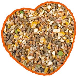 12183-grains-au-mais-complet-pour-poules-duvoplus-jaune-marron-20-kg