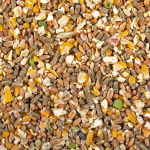 12184-aliment-complementaire-duvoplus-beige-20-kg