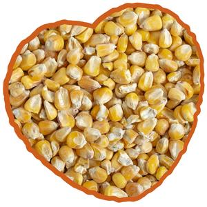 12177-nourriture-pour-volailles-mais-francais-extra-duvoplus-jaune-20-kg