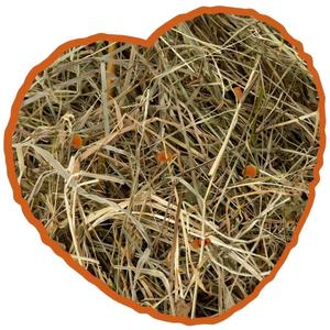 14329-boule-a-foin-pour-rongeurs-aux-herbes-carotte-duvoplus-beige-1-kg