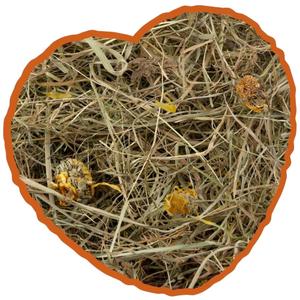 14330-boule-a-foin-pour-rongeurs-aux-herbes-pissenlit-duvoplus-beige-1-kg