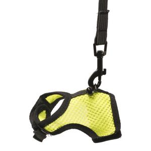 1717084-harnais-pour-petits-avec-laisse-mammiferes-duvoplus-jaune-vert