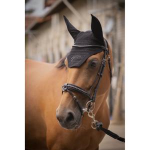 306977021-bonnet-pour-cheval-eden-by-penelope-noir