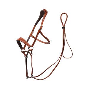 8-9010-2142015-bridons-sans-mors-pour-cheval-edix-saddles-ed1-rose-cognac