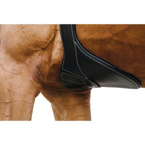 203146205-sangle-bavette-d-equitation-norton-magnet-noir