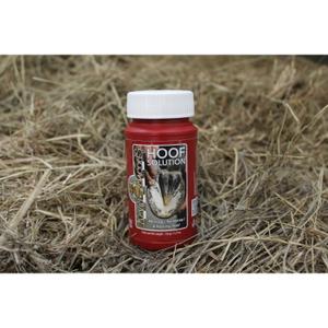 product/e/k/ekkia_727_007_015_ambi2_2.jpg