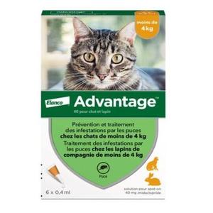 2145530-anti-puces-elanco-advantage-0-4-kg-c-vert-vert-tu
