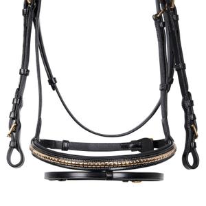 product/e/q/equestro_et01010-black_black_4.jpg